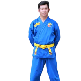 Vovinam Việt Võ Đạo quận Bình Tân Vovinam Việt Võ Đạo quận Bình Tân