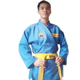 Vovinam Việt Võ Đạo quận Bình Tân Vovinam Việt Võ Đạo quận Bình Tân
