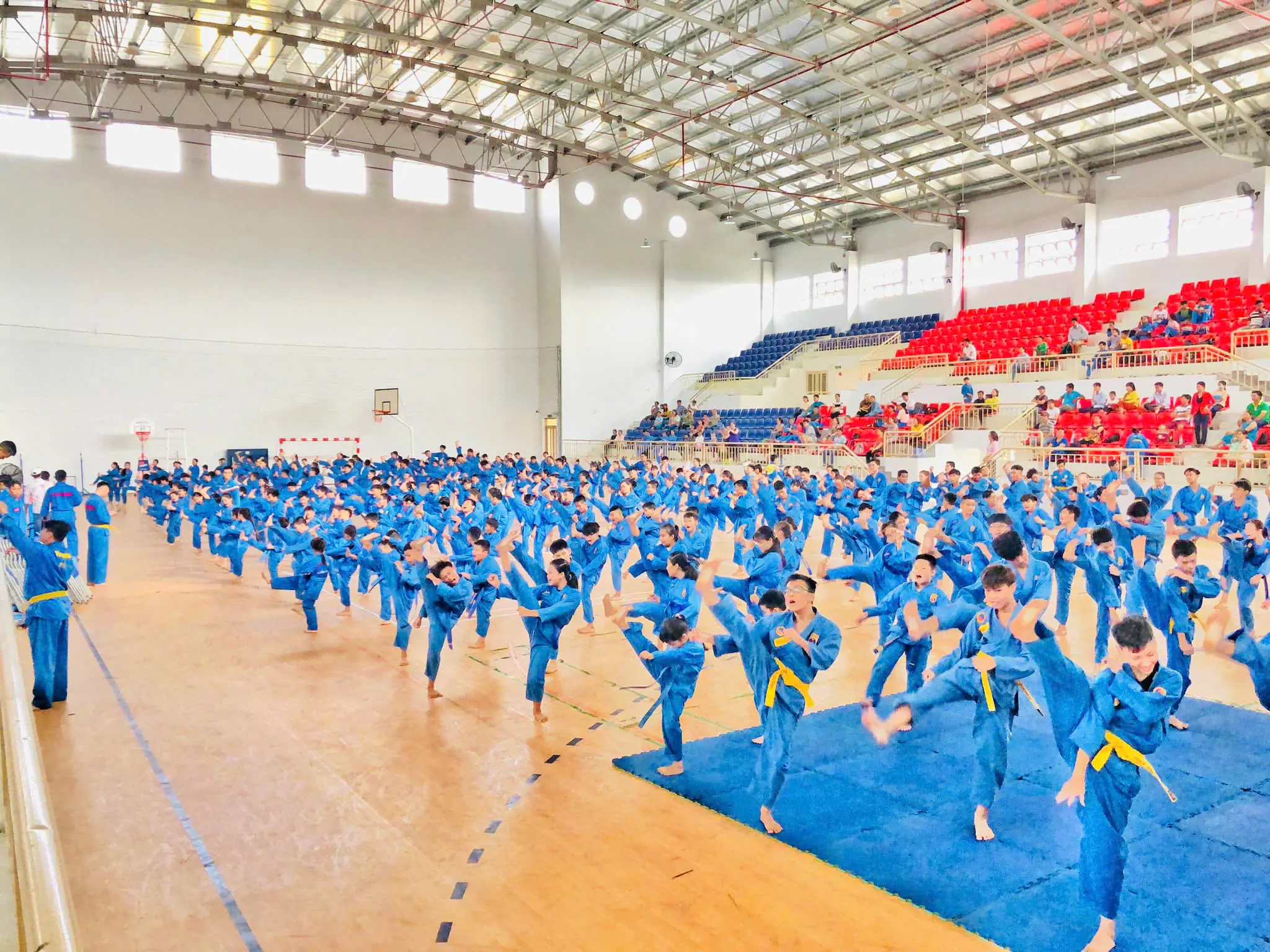 Vovinam Việt Võ Đạo quận Bình Tân